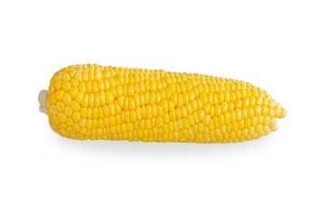 Sweet corn isolated on white background with Clipping path