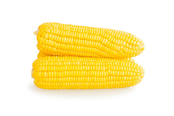 Sweet corn isolated on white background with clipping path 