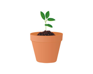 Vector illustration of a clay pot with a plant.