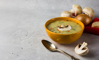 Homemade mushroom soup in a bowl is on the table, in the background of onions, Champignon on a red napkin.