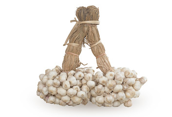 Bundle garlics dry isolated on white background 