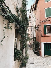 Travel summer concept. Old city view of Europe, Croatia, Istria region, Rovinj. Empty street with old buildings with shutters and green plant.