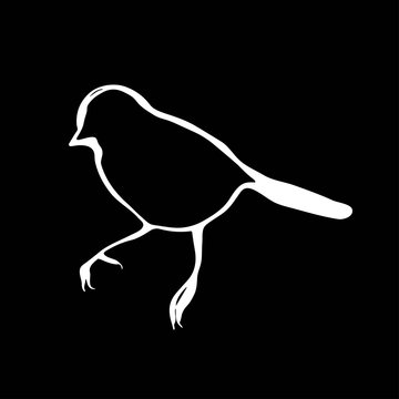recommend clip art: Little bird line drawing. Hand drawn silhouette. Vector illustration