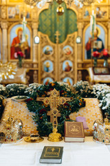 christmas tree in a room