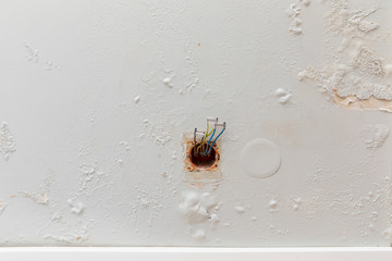 Fungus on the wall in a freshly renovated apartment.