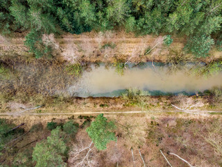 Aerial drone shot, straight down, of a forest with river or canal running through in early spring