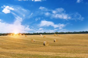 Rural landscape with golden straw bales.