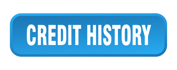 credit history button. credit history square 3d push button
