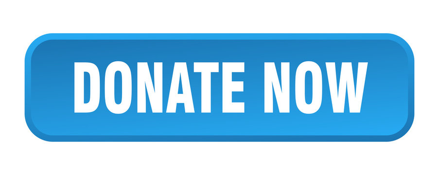 donate now button. donate now square 3d push button