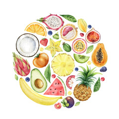 Watercolor vector hand painted card of exotic fruits.