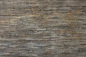 Vintage & old wooden for background or texture- space for your content.