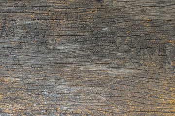 Vintage & old wooden for background or texture- space for your content.