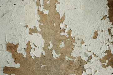 Peeling white paint on the plywood. Close-up textured background.
