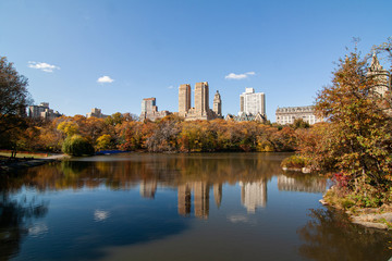 Fototapeta na wymiar autumn landscape in central park with buildings in background