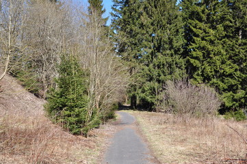Fototapeta premium Stadtpanoramaweg Neuhaus am Rennweg