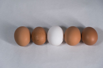 Chicken eggs aligned isolated on white top down view. Healthy food concept.