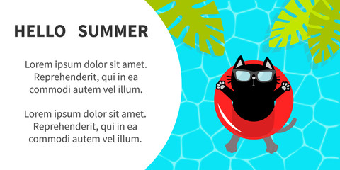 Black cat floating on red pool float water circle. Hello Summer banner flyer. Swimming water. Pool party. Top air view. Sunglasses. Palm tree leaf. Cute cartoon relaxing character. Flat design.