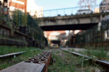 Obraz premium petite ceinture n°4