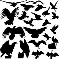 twenty two birds silhouettes on white background