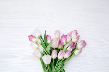 Group of white and pink tulips on white wooden background for March 8, Women's Day, Birthday, Valentine's Day or Mother's day - Closeup