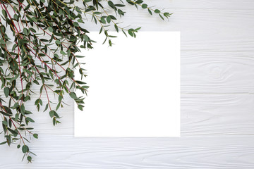 Obraz premium Floral pattern with green leaves on white background top view. Free space for text. Draft for a design. minimalism, creativity. flatlay