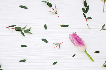 Floral pattern with green leaves and tulip on white background top view mockup