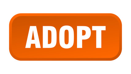 adopt button. adopt square 3d push button