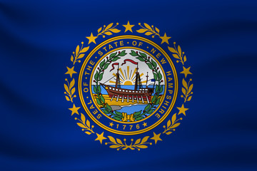 Waving flag of New Hampshire. Vector illustration