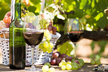 still life with glass of red wine grapes and picnic basket on table