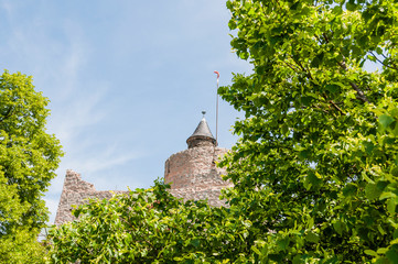 Saarburg, Burg, Burgruine, Ruine, Altstadst, Stadt, Saar, Fluss, Mittelalter, Frühling,...