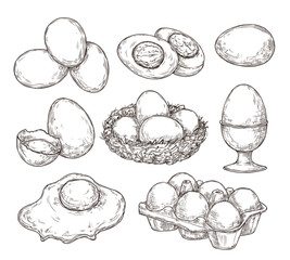 Eggs sketch. Vintage natural egg, broken shell. Hand drawn farming food, animal products. Drawing ingredients, rustic vector illustration. Shell chicken egg, natural sketch yolk fried