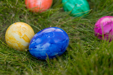 colorful easter eggs