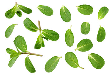 Fresh mint leaves isolated on white background. top view