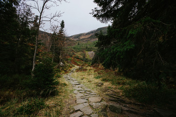 Beautiful autumn foggy Babia Gora