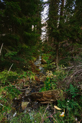 Beautiful autumn foggy Babia Gora