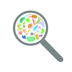 Bacteria and virus under the magnifying glass illustration