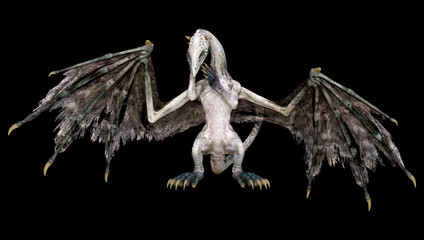 3D Rendering Fairy Tale Dragon on Black