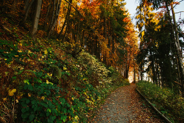 Fototapeta premium Beautiful autumn sunny Babia Gora