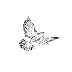 flying bird, graphic dove, icon animal 