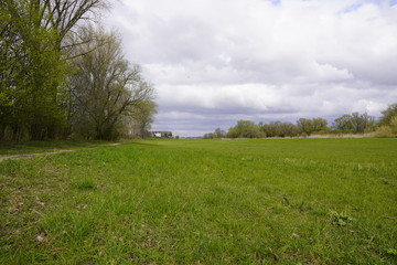 Blick auf die Rhein Auen