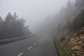 Niebla