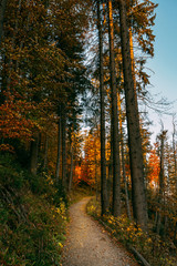 Beautiful autumn sunny Babia Gora