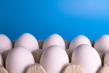  White eggs on a blue background. Copy space.