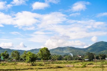 Fototapeta na wymiar field countryside with blue sky