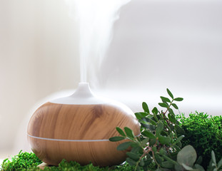 Modern Aromatic oil diffuser with fresh herbs .