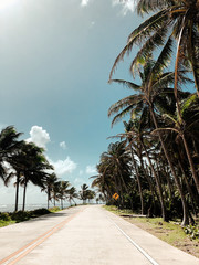Road with palms and blue skies in the Dominican Republic