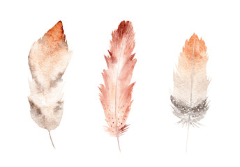 Set of feathers, hand painted watercolor clipart, illustration on white background.