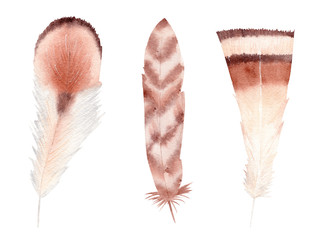 Hand painted watercolor feathers. Boho style illustration.