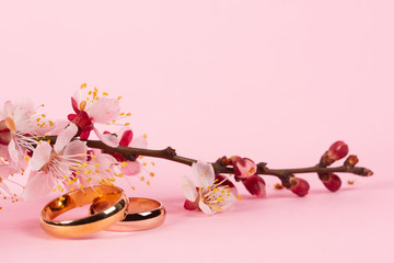 Wedding concept with a branch of blooming apricots on a pink background