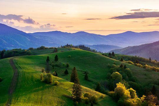 mountainous countryside in springtime at dusk. path trees on the rolling hills. ridge in the distance. clouds on the sky. beautiful rural landscape of carpathians